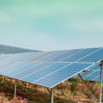 case-Tanghe Xinyi diamond wheel Products Co.,Ltd.